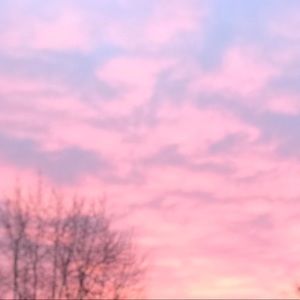 Meet your Posher, Jacqueline